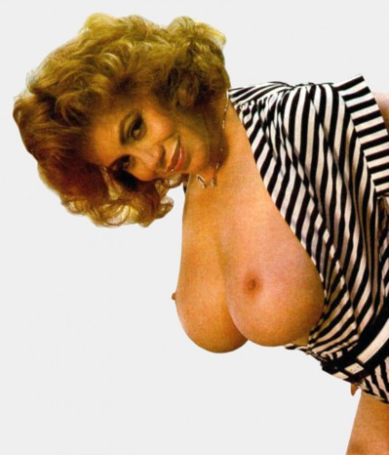 Kitten Natividad
